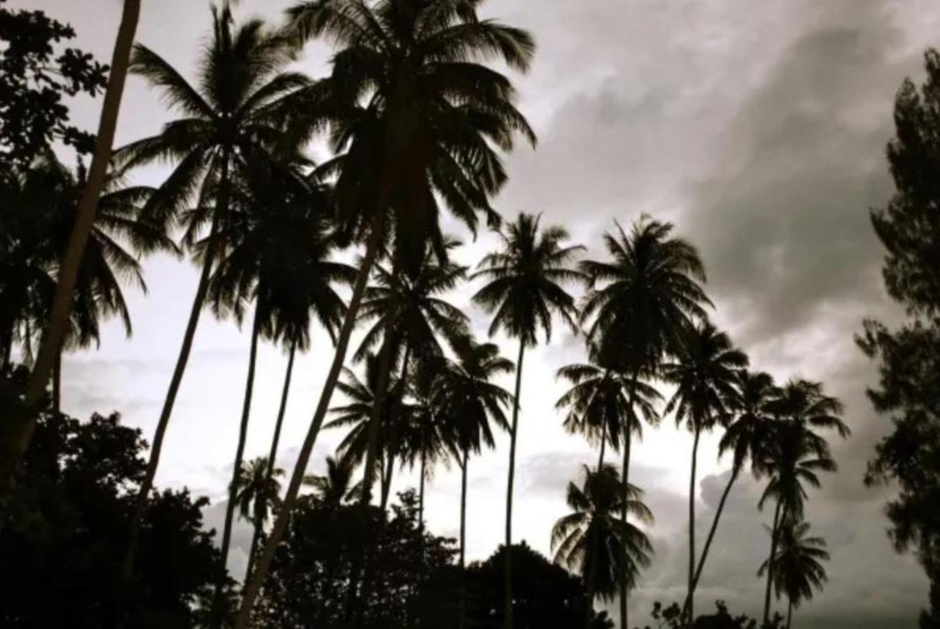 De Clinique Hotel Kampong Pasir Bogak Esterno foto